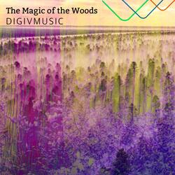 The Magic of the Woods