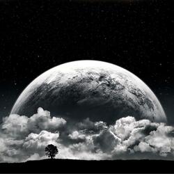 Moonlight