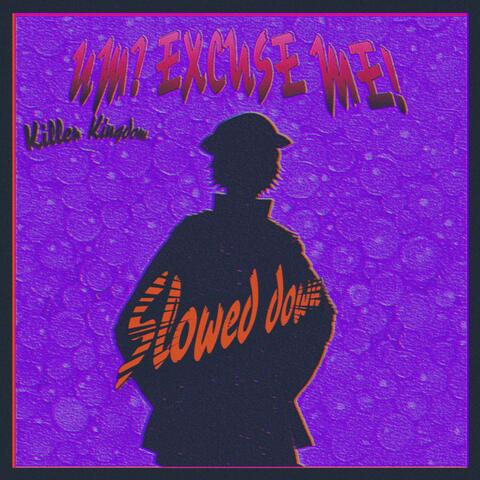 UM? EXCUSE ME! (Slowed edition)