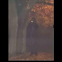 Question (The Perfectionist)