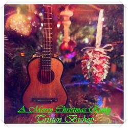 A Merry Christmas Romp