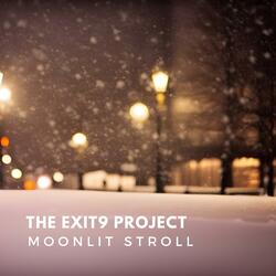 Moonlit Stroll