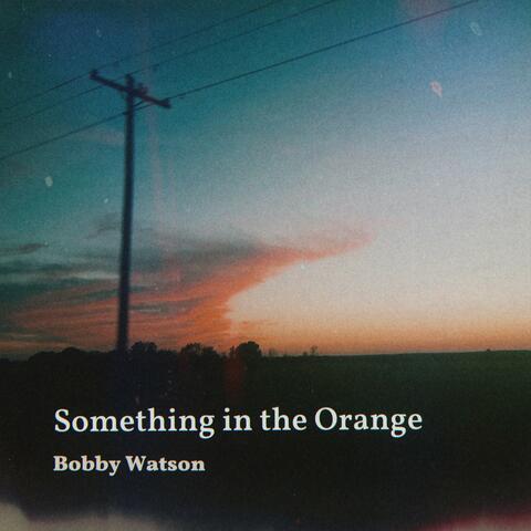 Something in the Orange