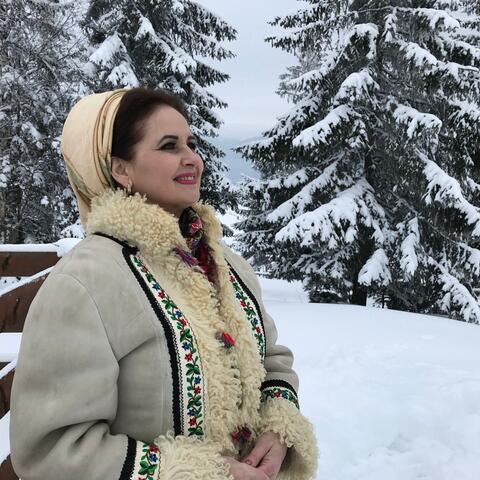 Plugușorul Crizei 2022