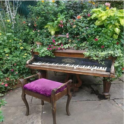In My Garden