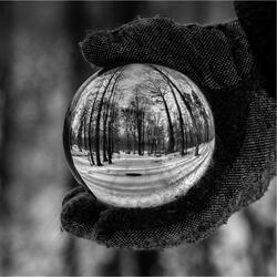 The First Snow Has Fallen