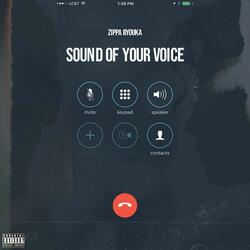 Sound Of Your Voice