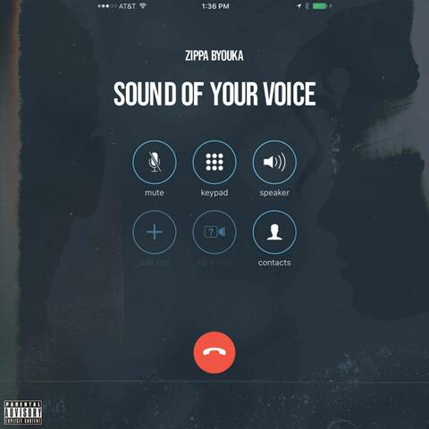 Sound Of Your Voice