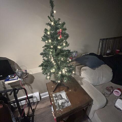 Dumpcake Christmas Song