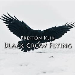 Black Crow Flying: A Native Flute Journey