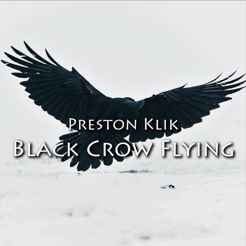 Black Crow Flying: A Native Flute Journey