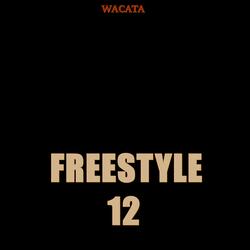 Freestyle 12