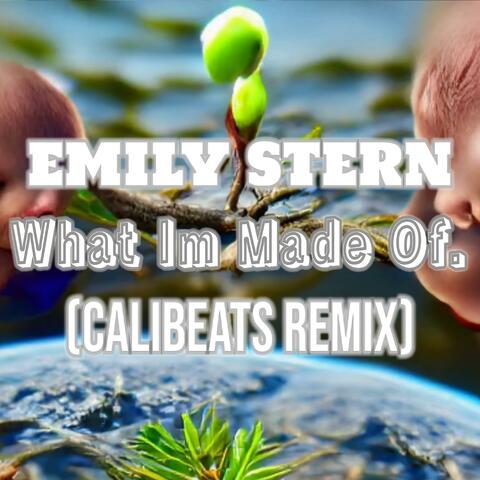 What Im Made Of (Calibeats Remix)