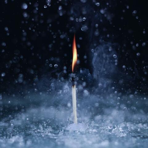 Fih to the Rain