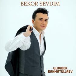 Bekor Sevdim