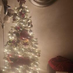 12 Days of Christmas