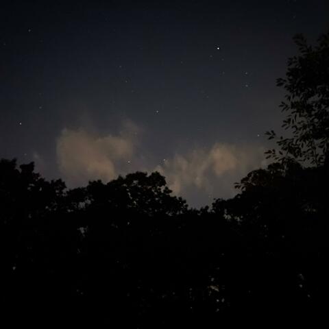 To Touch A Surface Never Touched