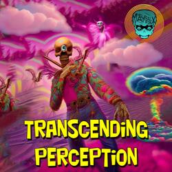 Transcending Perception