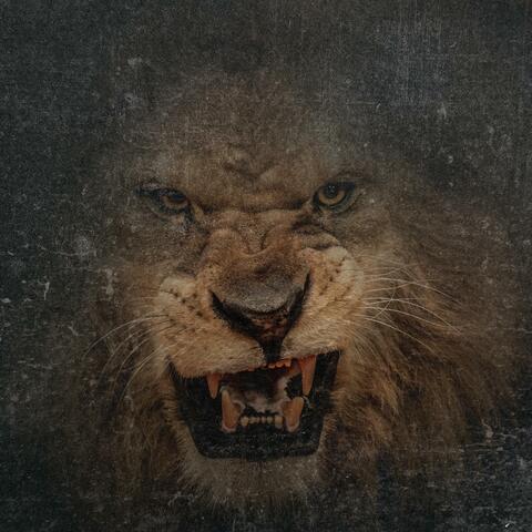 Roaring Lion