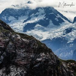 Metamorphic