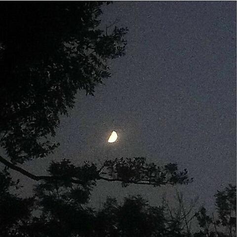 wishing well (slowed down)