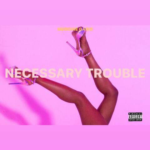 Necessary Trouble