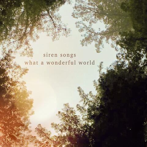 What a Wonderful World (feat. Jenn Grinels & Merideth Kaye Clark)
