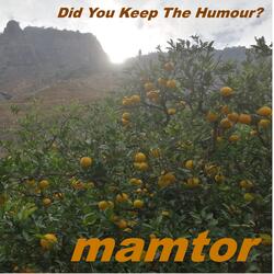 Did You Keep The Humour