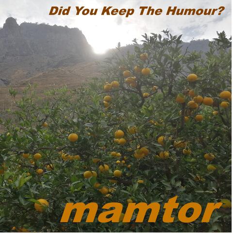 Did You Keep The Humour