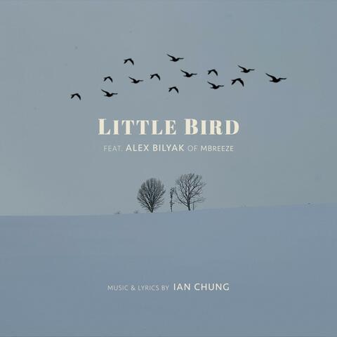 Little Bird (feat. Alex Bilyak)