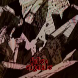 False Signals (feat. Taro90)
