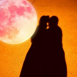 Wired to the Moon (Trance)