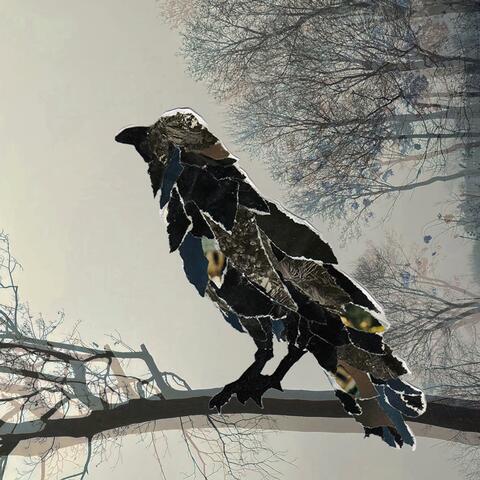 The Crow