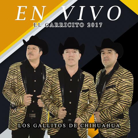 En Vivo El Carricito 2017
