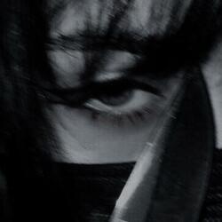 NYCTOPHILIA