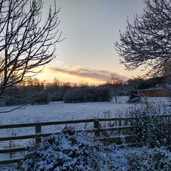 Hark the Herald Angels Sing