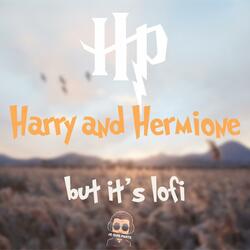 Harry and Hermione from Harry Potter