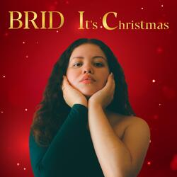 The Christmas Song (feat. DD KING)