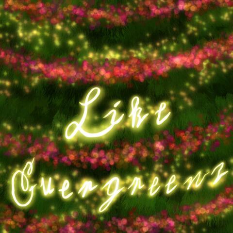 Like Evergreens