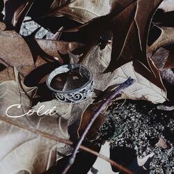 Cold (feat. Wavy Gravy)