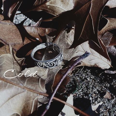 Cold (feat. Wavy Gravy)