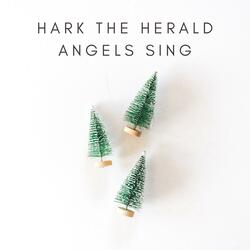 Hark! The Herald Angels Sing - Violin Solo