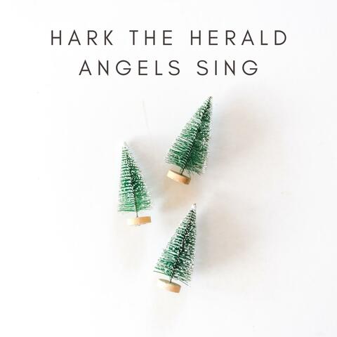 Hark! The Herald Angels Sing - Violin Solo