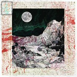 No Flowers Will Come