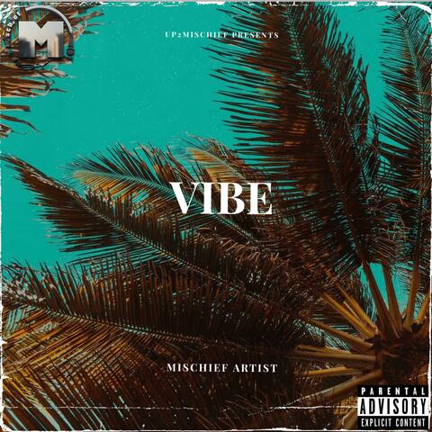 Vibe