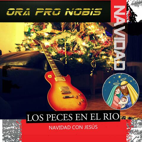 LOS PECES EN EL RIO