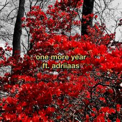 one more year (feat. adriiaas)
