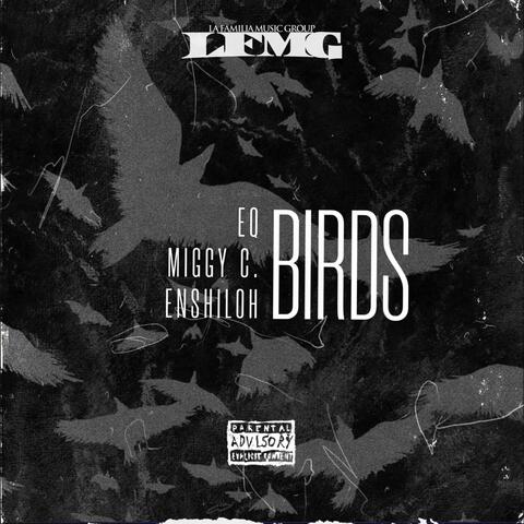 BIRDS (feat. Miggy C. & Enshiloh)