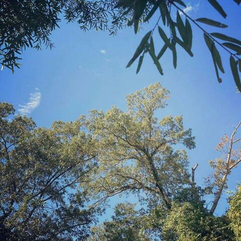 Sometimes When I Stare at the Sky, I Feel Like I'm Falling and want to Scream