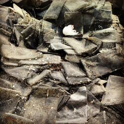 True Love Never Ended